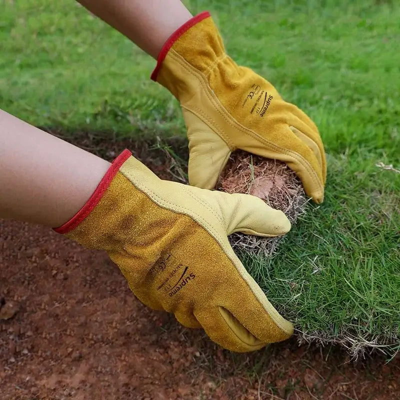 Yellow Cow Leather Driver Gloves